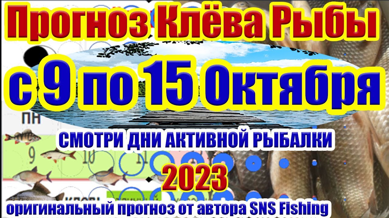 Календарь рыбака на Июль Прогноз клева рыбы на неделю Календарь клева Июль2022 - YouTube